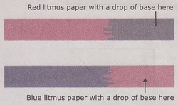 Blue Litmus Paper Chart
